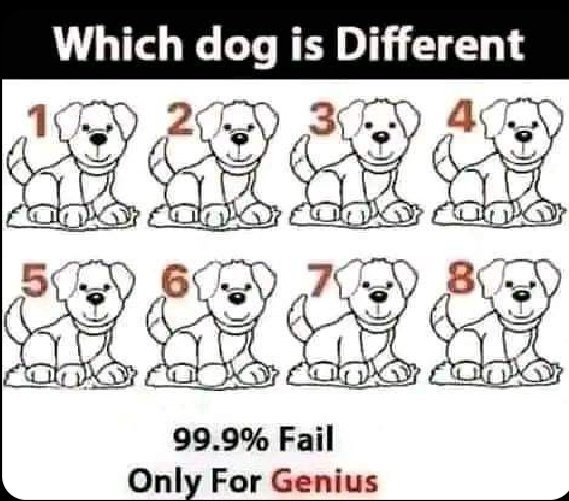 Eye test 

Trying to prove a point