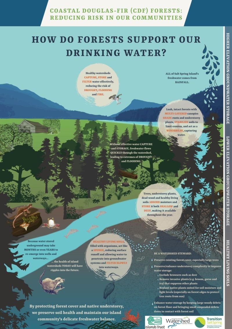 UN Biodiversity tweet media