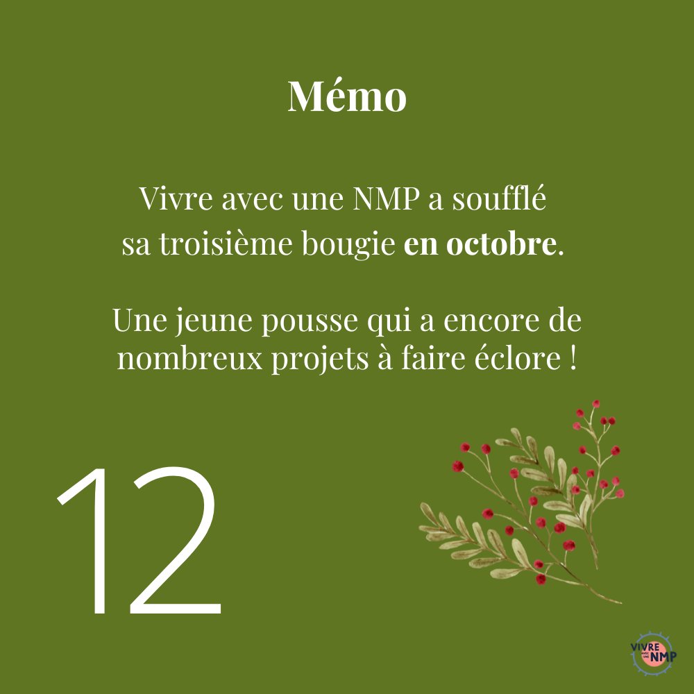 // Calendrier de l'Avent - Jour 12 //

🎂Notre association Vivre avec une NMP a soufflé
sa troisième bougie en octobre !

Une jeune pousse qui a encore de nombreux projets à faire éclore ! 

Hâte de les partager avec vous !

#NMP