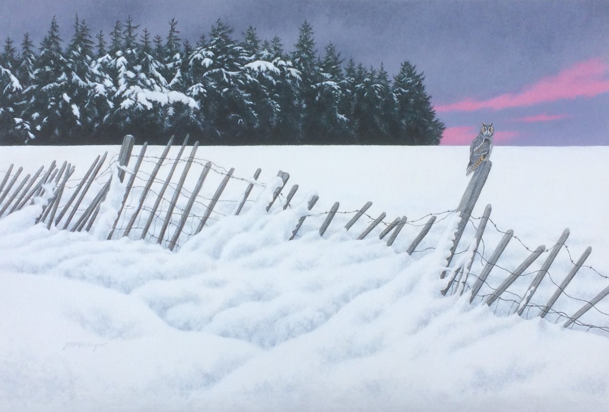 Jan Wilczur (@jwilczur) on Twitter photo âLong-eared Owl; Drifting Snowâ
acrylic, 58 x 37 cms.
For sale, please enquire.
This painting is currently on display at the BIRDscapes Gallery Christmas exhibition at Glandford, near Holt, North Norfolk. art@birdscapes.co.uk âLong-eared Owl; Drifting Snowâ
acrylic, 58 x 37 cms.
For sale, please enquire.
This painting is currently on display at the BIRDscapes Gallery Christmas exhibition at Glandford, near Holt, North Norfolk. art@birdscapes.co.uk