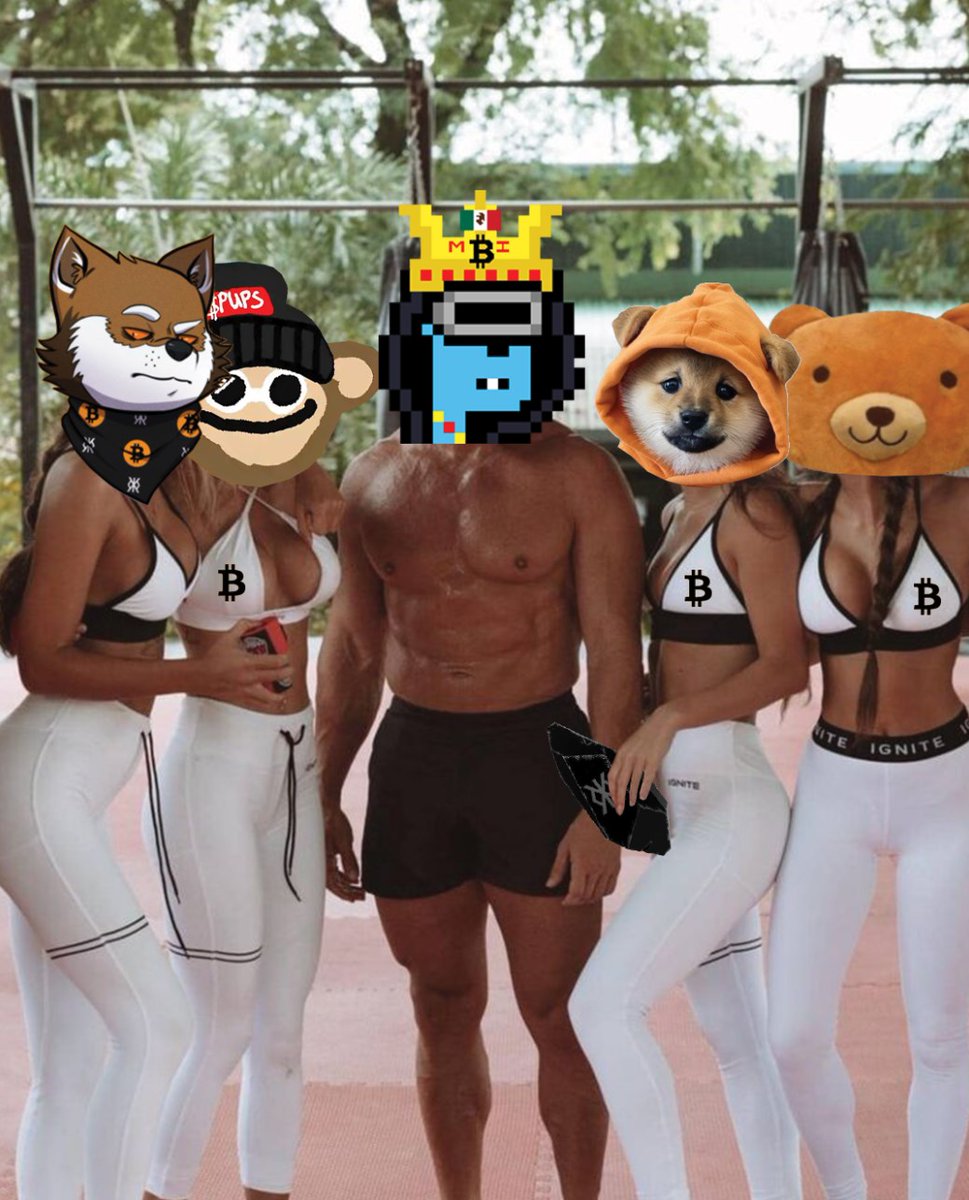 decentralized dating 🟧₿
$DOG 🐶 $BRO 🐻 $LOBO 🐺 $PUPS 🌎