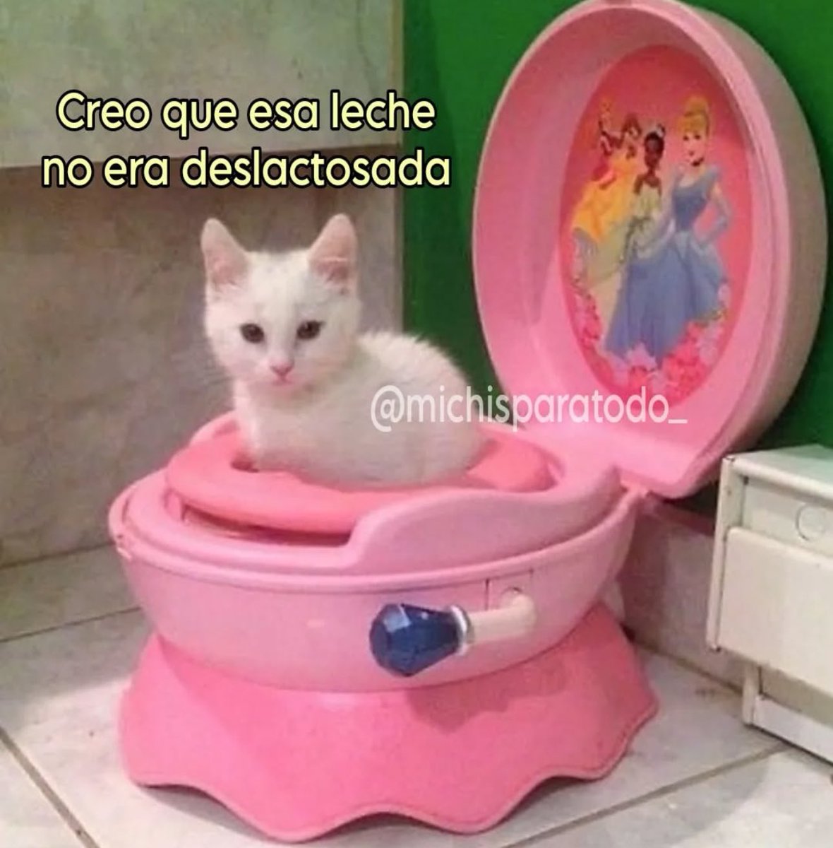 piña sin pizza (@skereunpesado) on Twitter photo 