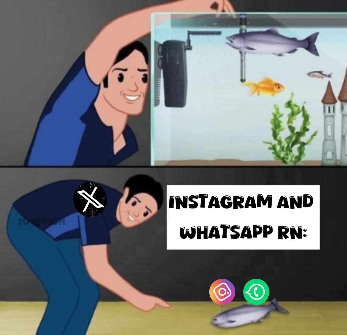 iamvishkumarvk's tweet photo. Elon at X thriving while Instagram and WhatsApp are flopping hard right now. 🐟💀 

#InstagramDown #WhatsAppDown #facebookdown https://t.co/rPCX8hfyO8