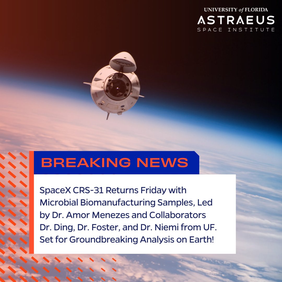 UFAstraeus's tweet photo. On Friday, SpaceX CRS-31 returns to Earth, bringing microbial biomanufacturing samples that could make self-sustaining space missions a reality. Led by Dr. Amor Menezes &amp; @UF team, this experiment helps us unlock sustainable solutions for life beyond Earth
https://t.co/i0e2s3fisv https://t.co/2LGYjaNFLq