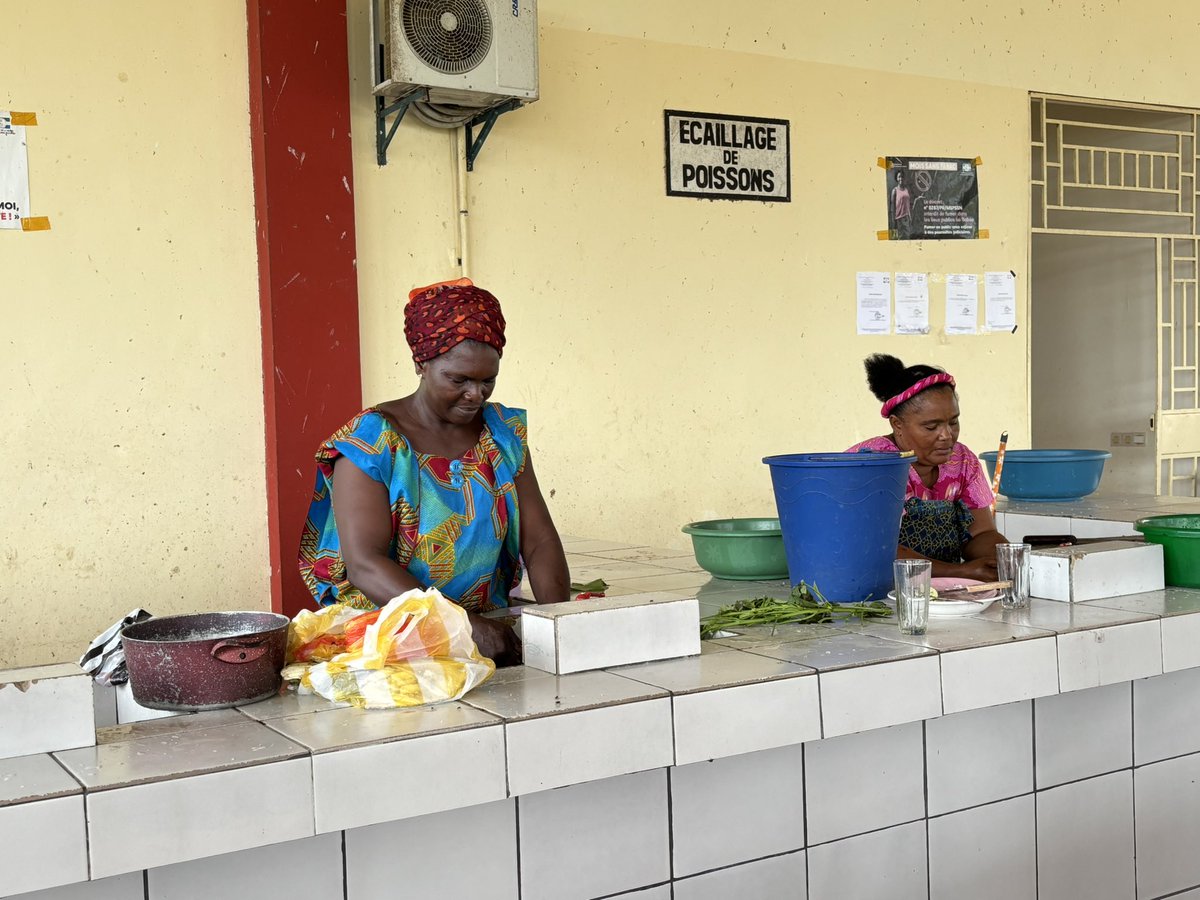 AmbUEauGabon's tweet photo. Mission #pechedurable: Mouila était l’étape du jour. Au centre de #pêche au bord du fleuve, débarquements, conservation, vente et restauration génèrent des revenus pour de nombreuses familles. Admirative des femmes qui font vivre ce lieu. #BlueEconomy #femmesentrepreneures https://t.co/PNAey53m94