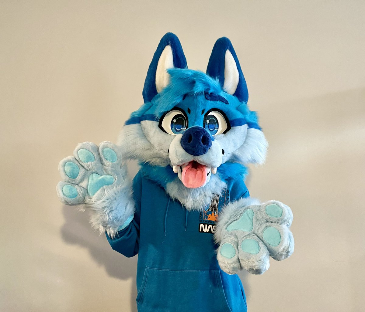 GATORSPOTS tweet media