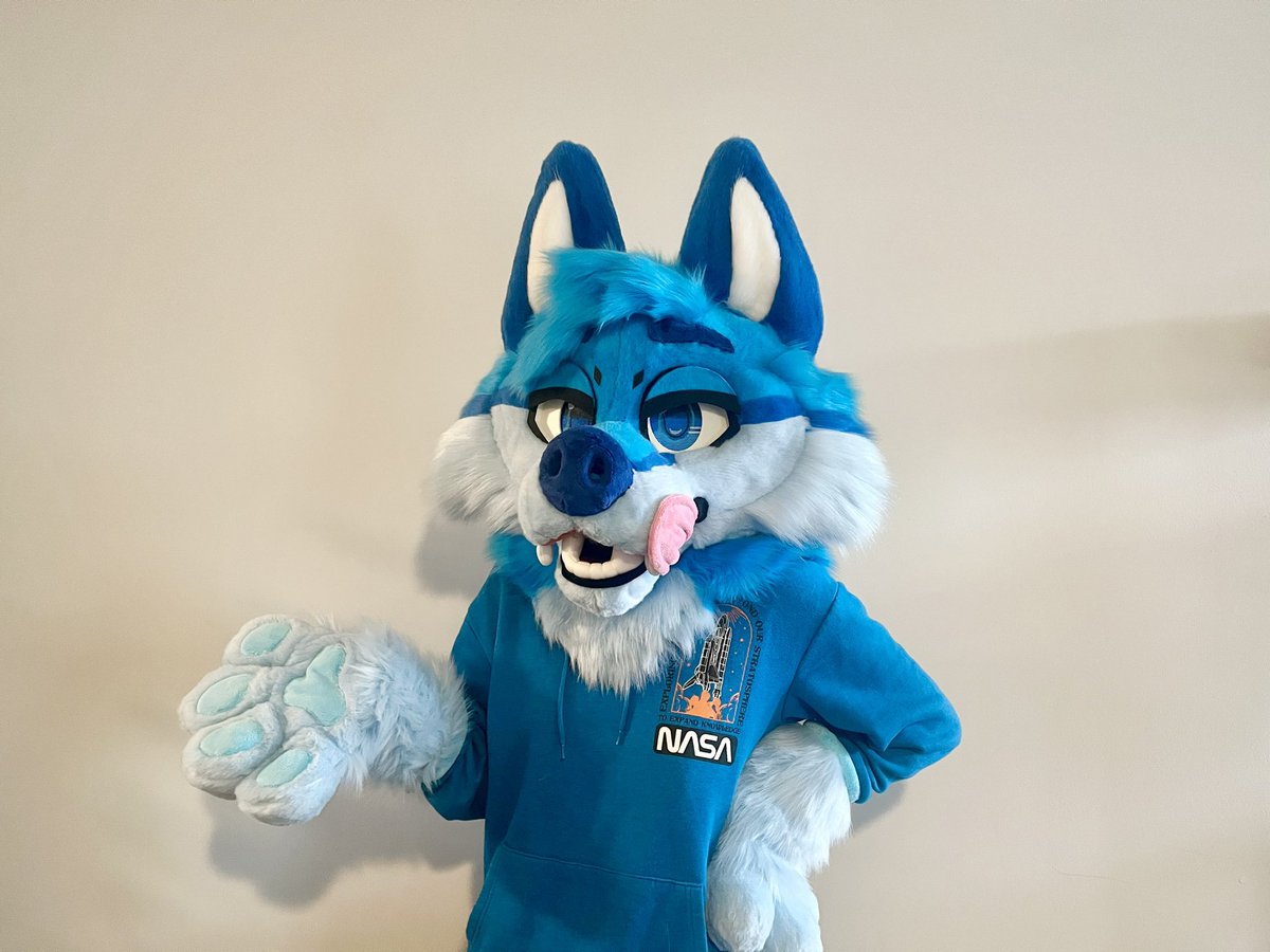 GATORSPOTS tweet media