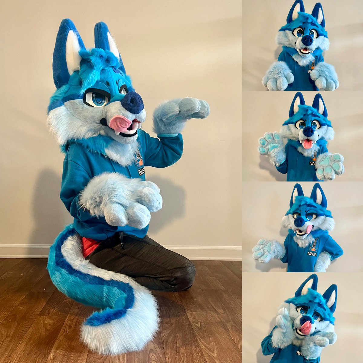 GATORSPOTS tweet media