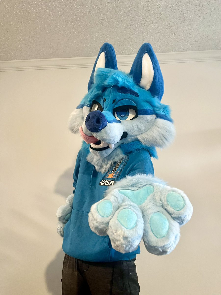 GATORSPOTS tweet media