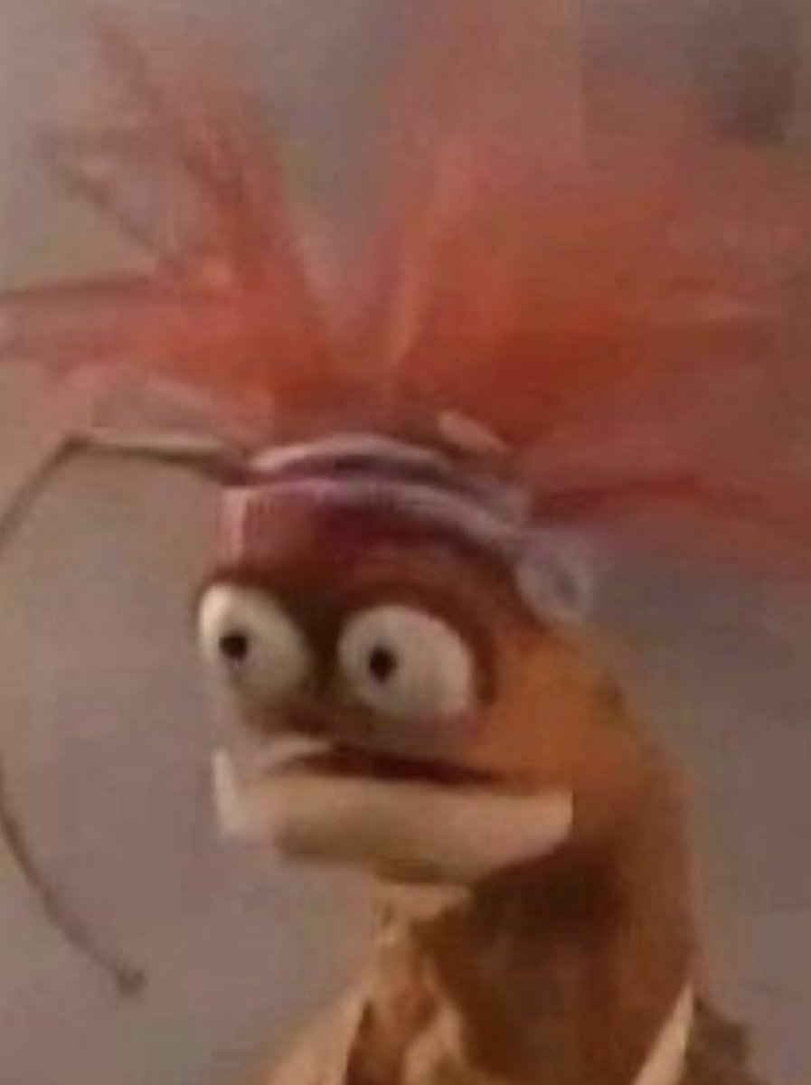 Voters of Tomorrow tweet media