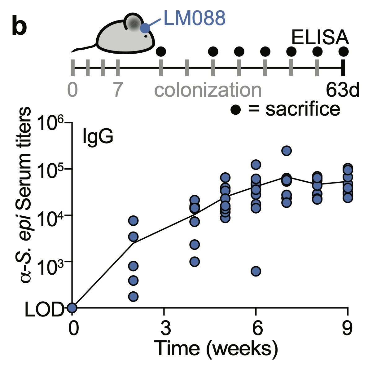 Karan Kathuria (@karanrkathuria) on Twitter photo Beautiful work from <a href="/DjenetBousbaine/">Djenet Bousbaine</a> and <a href="/mfgrp/">Michael Fischbach</a> characterizing the immune response to a human skin commensal and its utility as a vaccination platform.
Remarkable antibody response kinetics worthy of an entirely new study. Beautiful work from <a href="/DjenetBousbaine/">Djenet Bousbaine</a> and <a href="/mfgrp/">Michael Fischbach</a> characterizing the immune response to a human skin commensal and its utility as a vaccination platform.
Remarkable antibody response kinetics worthy of an entirely new study.