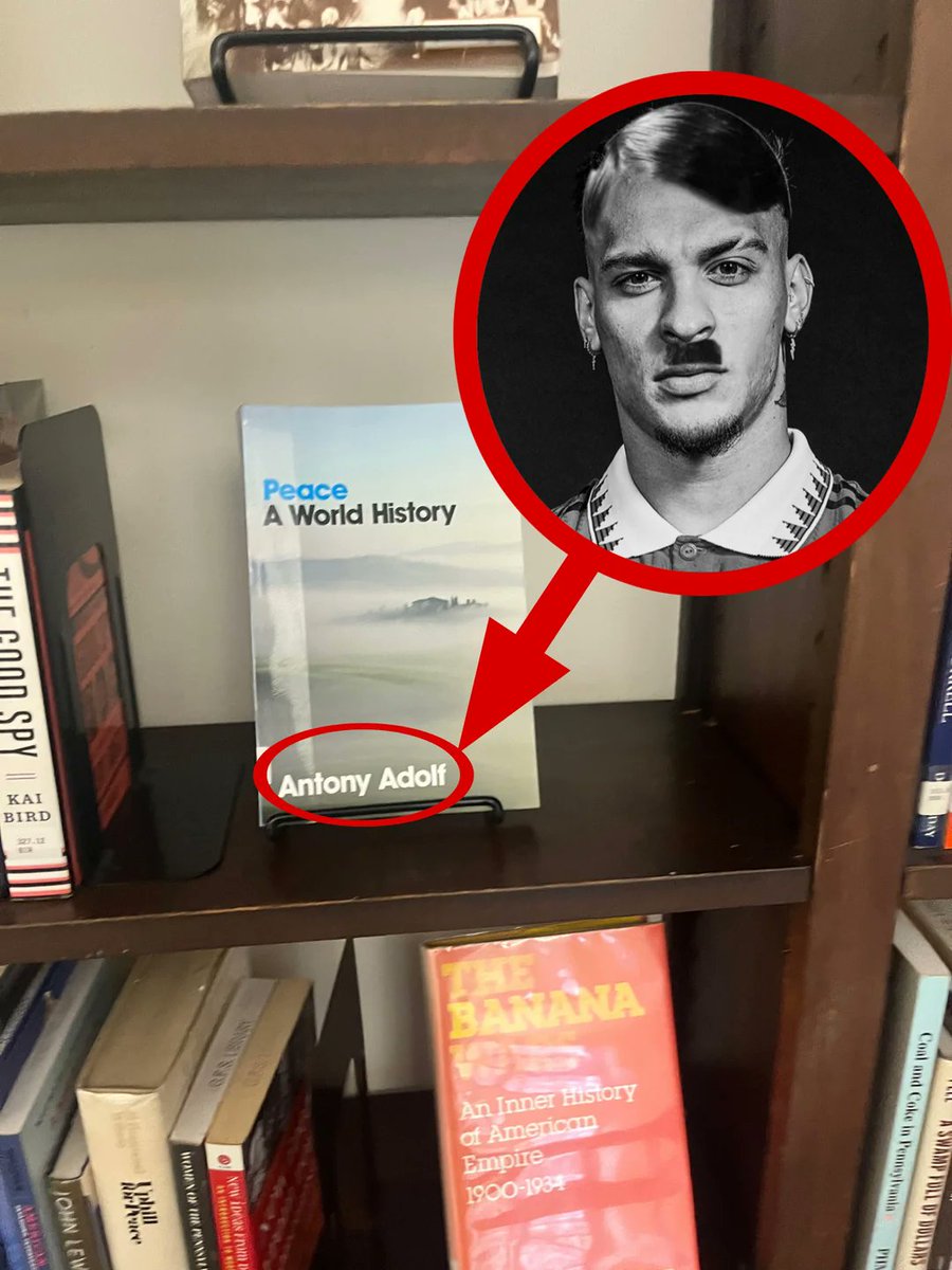 Book title: Mein Spin