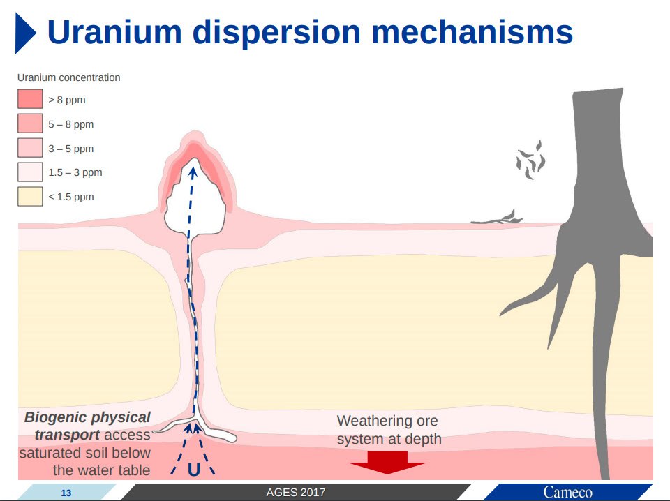 PraiseKek's tweet photo. $CCJ Cameco Australia 🇦🇺 Pty Ltd's Termitaria #uranium geology slides highlight former NT prospects. Followed and expanded by $VIMY and now $DYL, this exploration tool aims to identify a new cluster of Ranger-type deposits in the Northern Territory. #Shiba #SuchWow 🪃 https://t.co/H6feZNLZel
