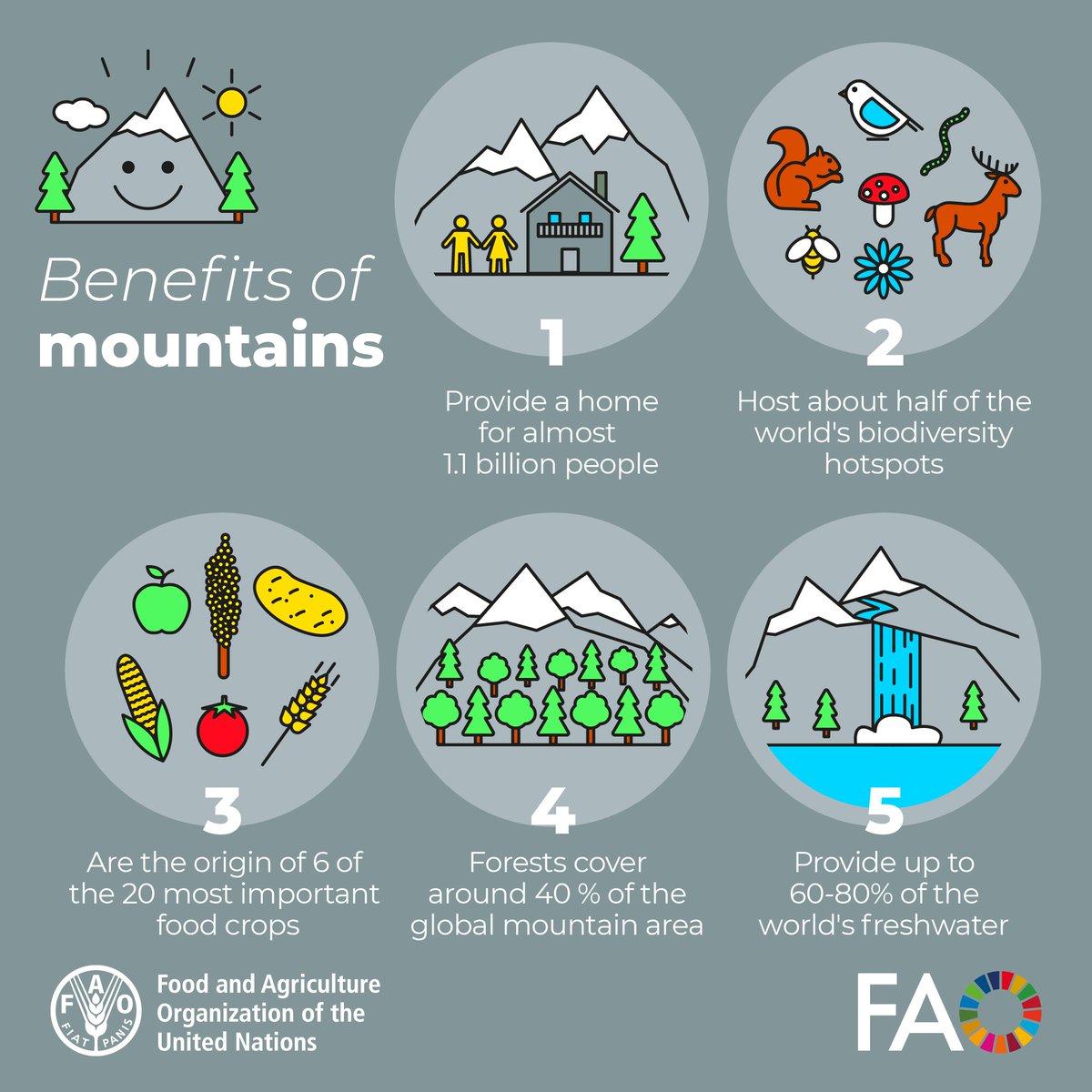UN Biodiversity tweet media