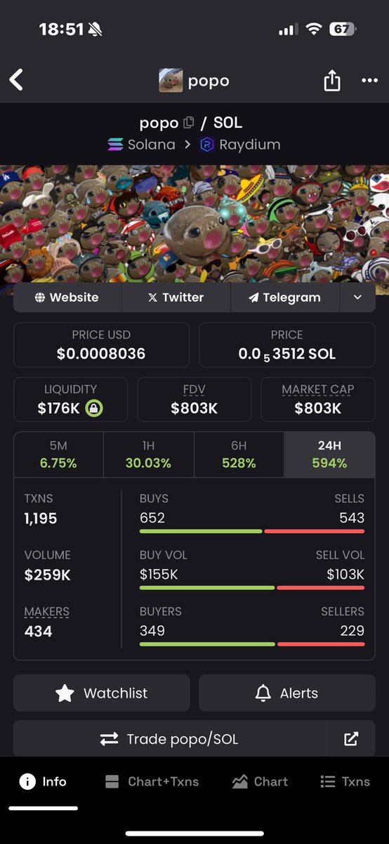 @mrsolana69 That’s it dude 🔥
$POPO is back bby 🫡