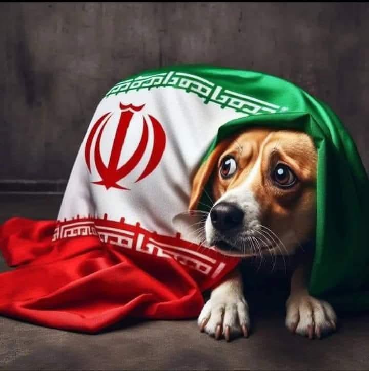 حين تُكسر قبور شهداء #تشرين تُسمى "بطولة"

وحين يُحرق قبر حافظ الأسد يُسمى "إرهاباً"

مفارقة تفضح ازدواجية #امة_الجبناء  بين تقديس الطغاة وتدنيس الثوار…

#هبة_النائب