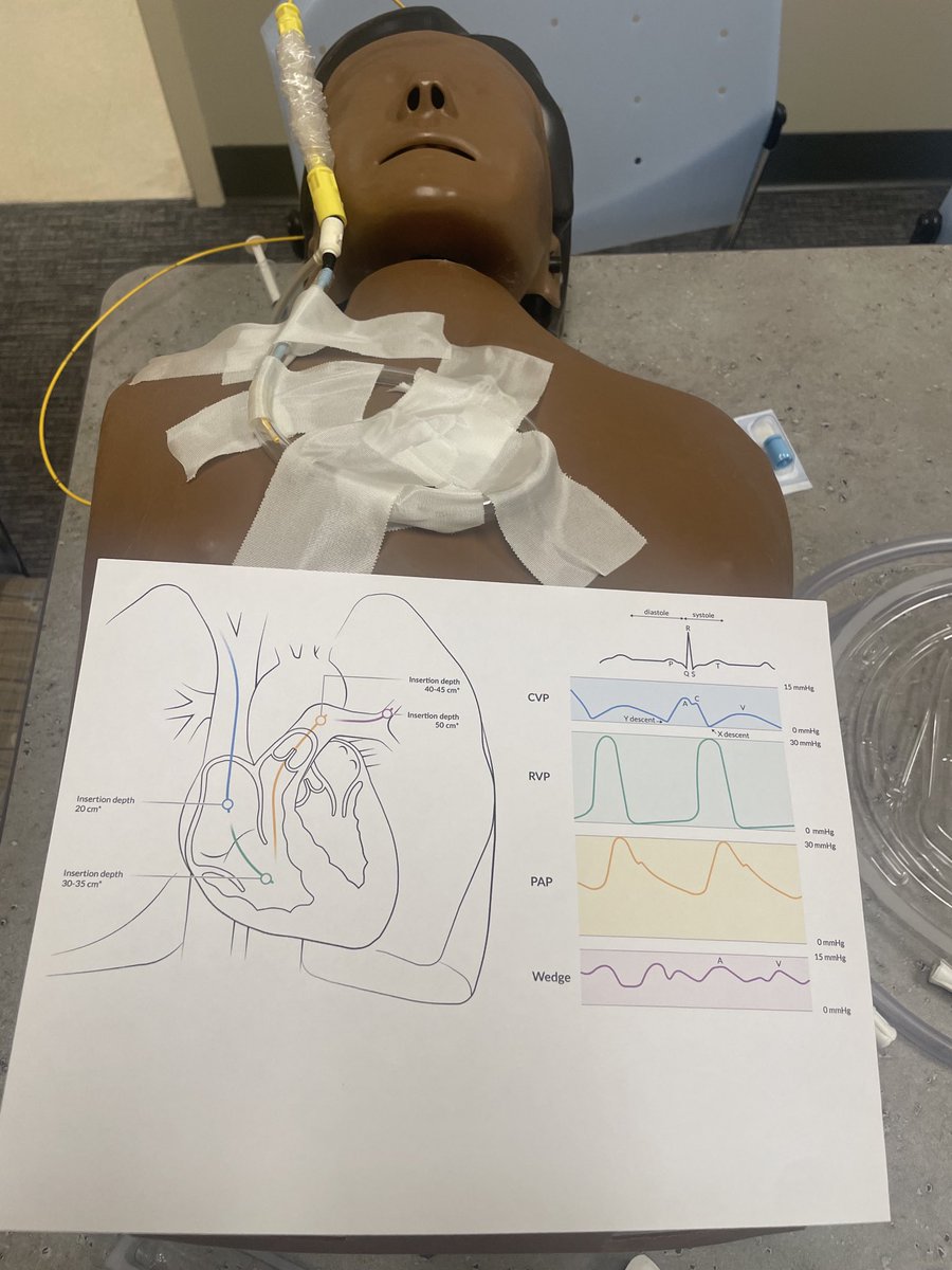 Timothy Ellender, MD, FCCM (@tjelle13) on Twitter photo Fellows practice cardiac procedures <a href="/IUPCCM/">IU Pulmonary and Critical Care Fellowship</a> SIM day!! Fellows practice cardiac procedures <a href="/IUPCCM/">IU Pulmonary and Critical Care Fellowship</a> SIM day!!