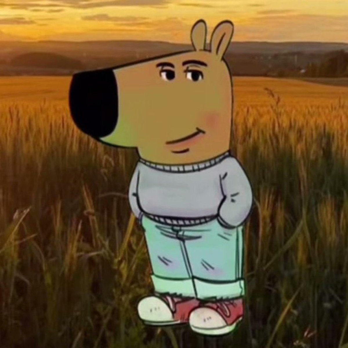 krishcasm's tweet image. Instagram, Facebook, WhatsApp are down, I don&apos;t care because I&apos;m just a chill guy