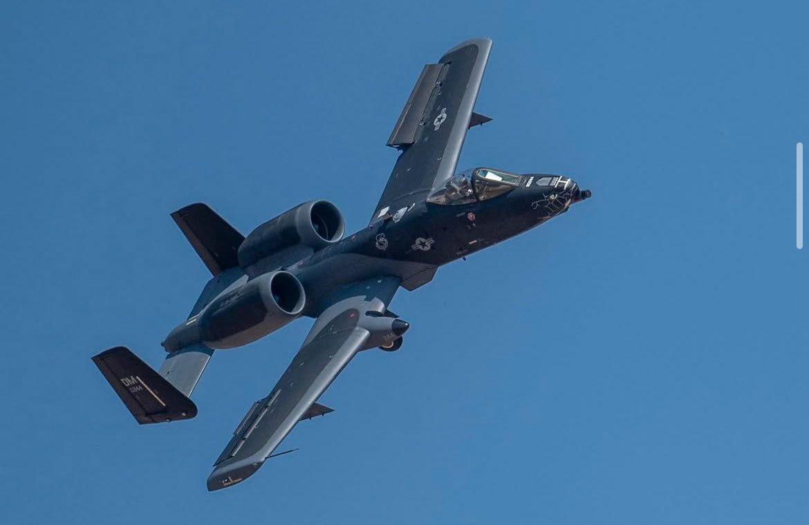 Brrrrt 🐗 #WarthogWednesday