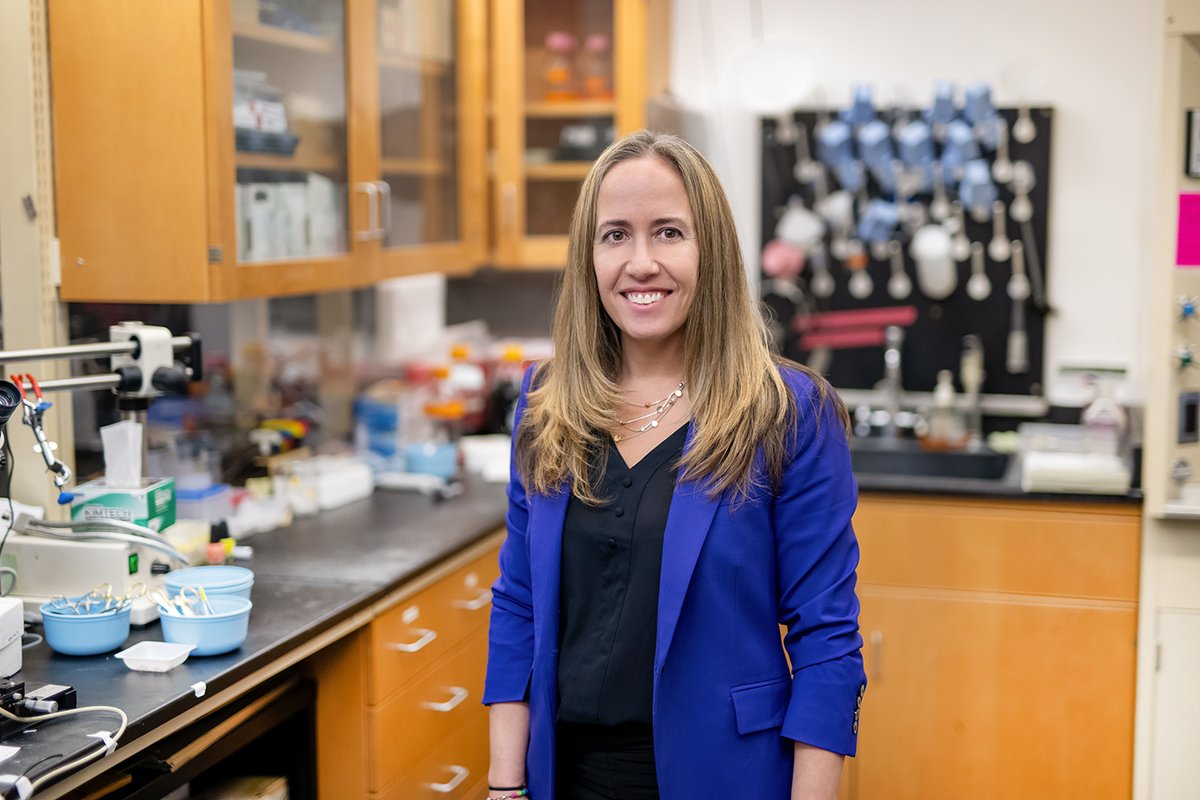 UVA Engineering (@uvaengineers) on Twitter photo Congrats to BME professor Silvia Blemker on her election as Fellow of the National Academy of Inventors! Read about the fascinating work Silvia does and her successful efforts to translate research into products that help people.
at.virginia.edu/z3fu3l
<a href="/UVABME/">Virginia BME</a> <a href="/AcadofInventors/">National Academy of Inventors</a> Congrats to BME professor Silvia Blemker on her election as Fellow of the National Academy of Inventors! Read about the fascinating work Silvia does and her successful efforts to translate research into products that help people.
at.virginia.edu/z3fu3l
<a href="/UVABME/">Virginia BME</a> <a href="/AcadofInventors/">National Academy of Inventors</a>