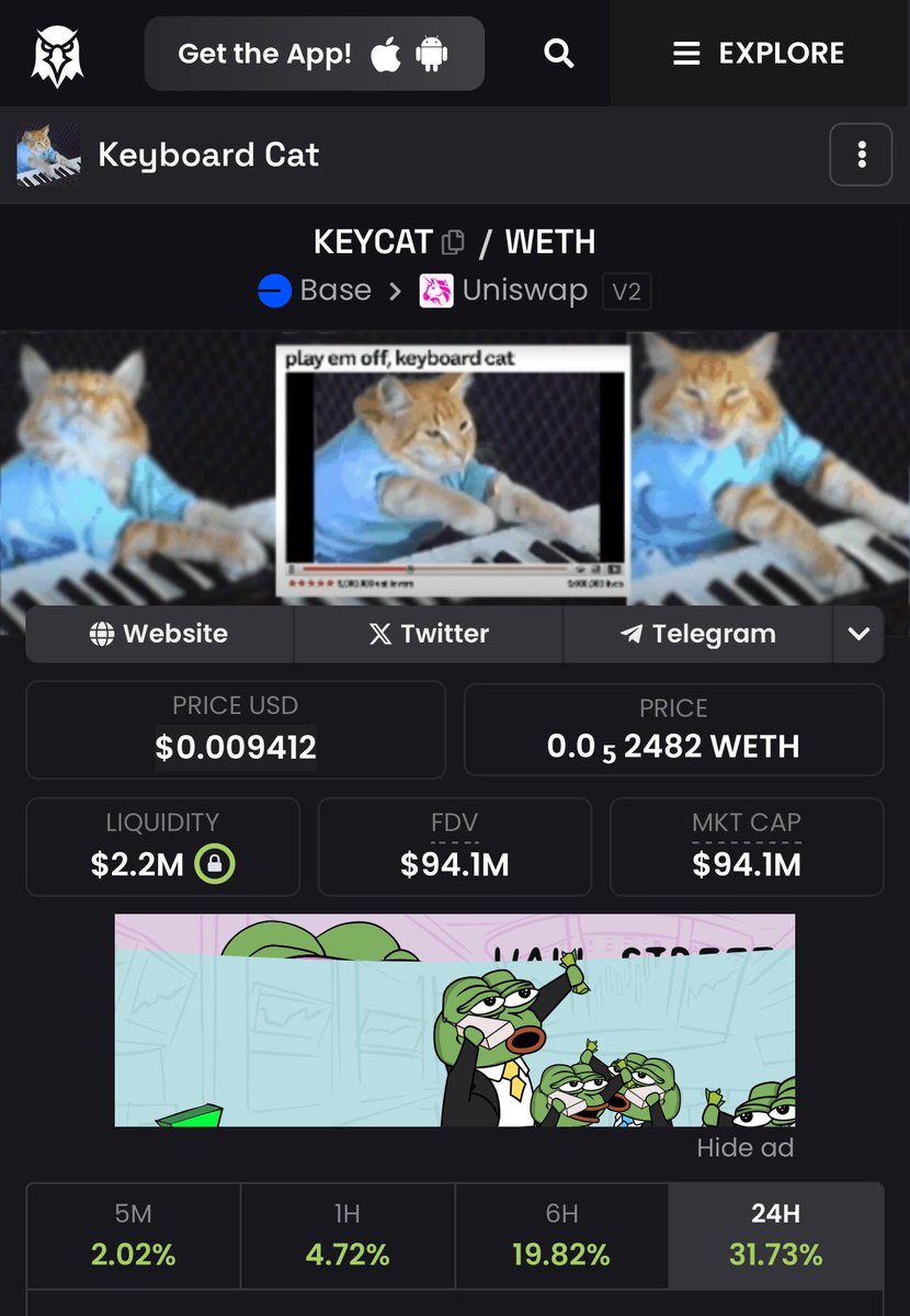 They never learn… the cat is invincible 😹