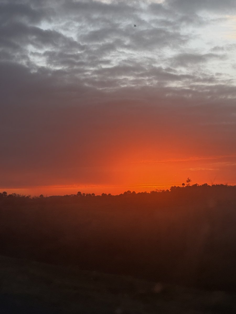 MelsMisadventures tweet media