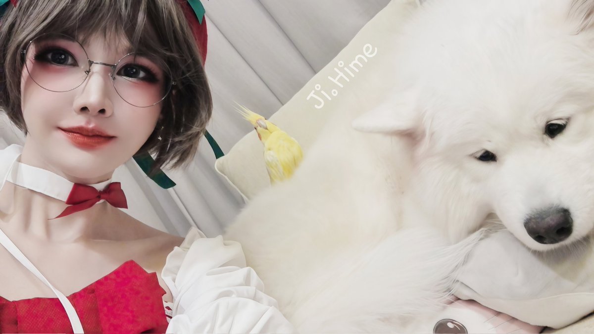 Ji_Hime_69's tweet photo. บุกรังหมีน้อย ~~ 
🐥🐻‍❄🐻‍❄🥰💕💕
#3

#jihime #fateji #funny #streamergirl #cosplaygirl #streamer #gamers #casualgamer #firstimer #justforfun #Christmas #memes #justforfun #birds #birdlovers #cockatiel #cute #cuteanimals #cutegirl
#cardcaptorsakura #kerochan #glassesgirl https://t.co/O0SBEAVW4T