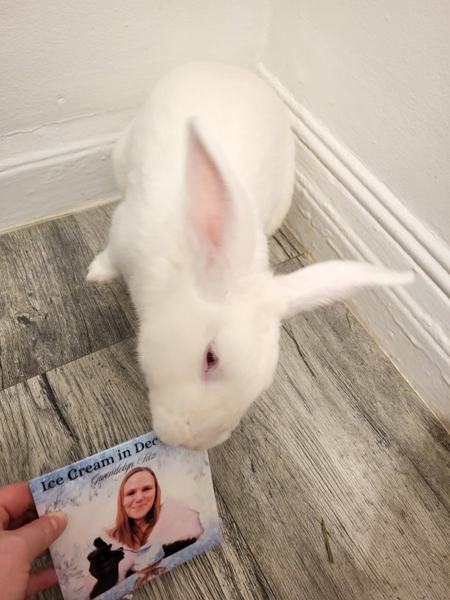 You've heard it from Mister Bun here first folks, my Ice Cream in December CD is tasty! You can also get your copy here:
gwendolynfitzmusic.com/product-page/i…
Better hurry before Mister Bun eats them all!