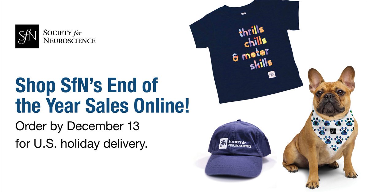SfNtweets's tweet photo. Add some neuroscientific sparkle to your holiday shopping!
The SfN Store’s end of year sale is the perfect opportunity to find unique gifts for your #neurotribe.
Don't miss out – order by Friday, December 13, for delivery just in time for the holidays.
🔗 https://t.co/VOSmsCOliu
#NeuroTwitter #SciTwitter