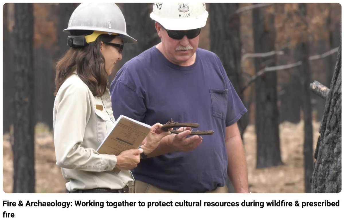 SWfirescience's tweet photo. Looking for something to watch during your lunch break? 

Check out one of our most viewed videos on #wildfire and #archaeology! 🔥⛏️ 

https://t.co/CwHH74GkEN https://t.co/luqNVVxJmE