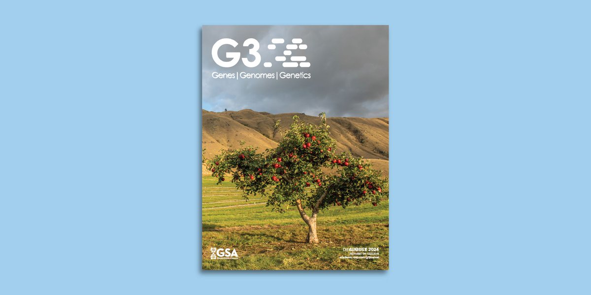 The #G3journal December cover features the "mother tree" of all 'WA 38' apples. A relatively new apple cultivar produced as a cross between Enterprise &amp; Honeycrisp, 'WA 38' was bred by Kate Evans &amp; Bruce Barritt of the WSU Apple Breeding Program. 

📸: Robert W. Hubner 

🔗⬇️