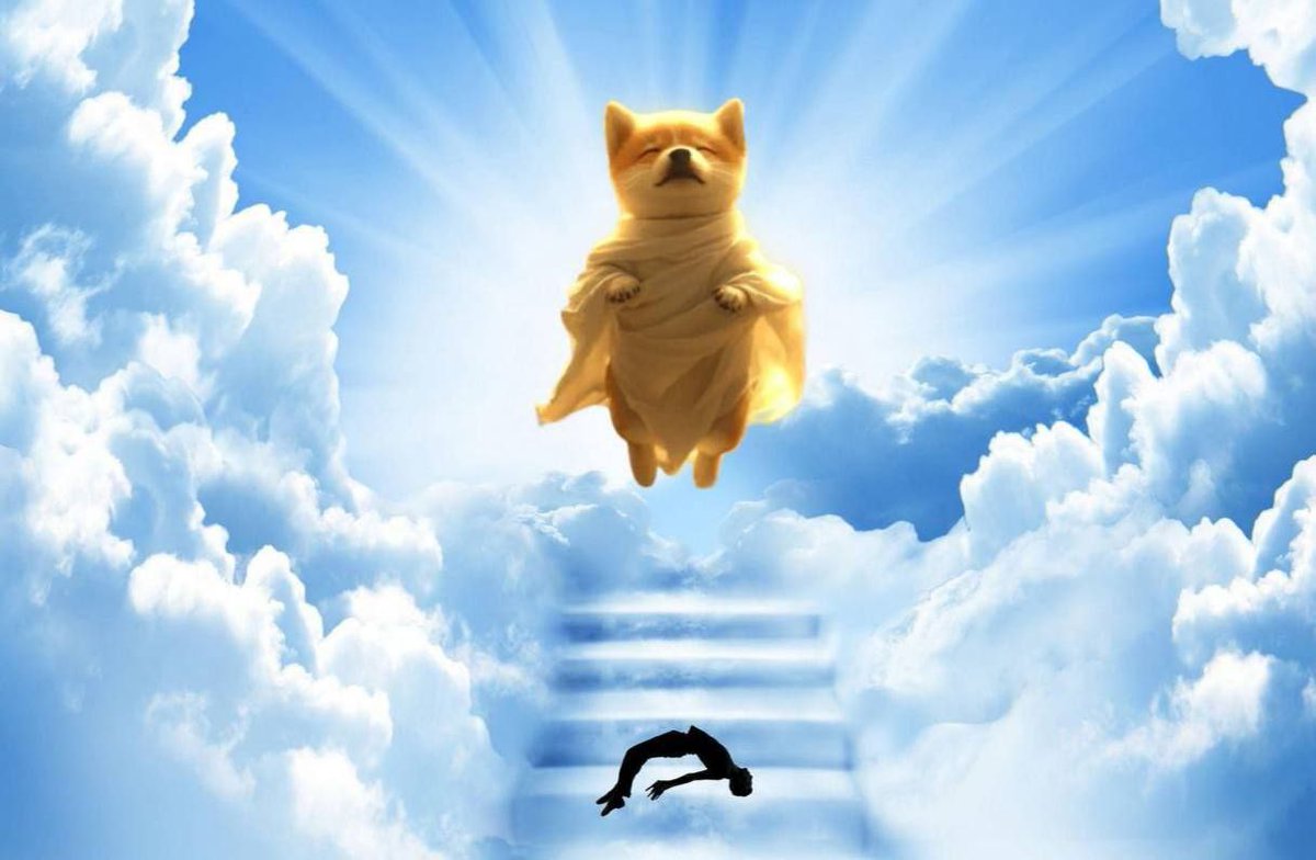 dogbackwardsfun's tweet photo. @CarsonYur $GOD Is Ready to Ascend to the Heavens! Join Us on the Journey to the Golden Gates of $GOD 💸💸💸

Ca
4FRcJrpi3qaCumpZkzRntPg6hyMxW3wNYkMJmzQypump https://t.co/tbP3vFiRUL