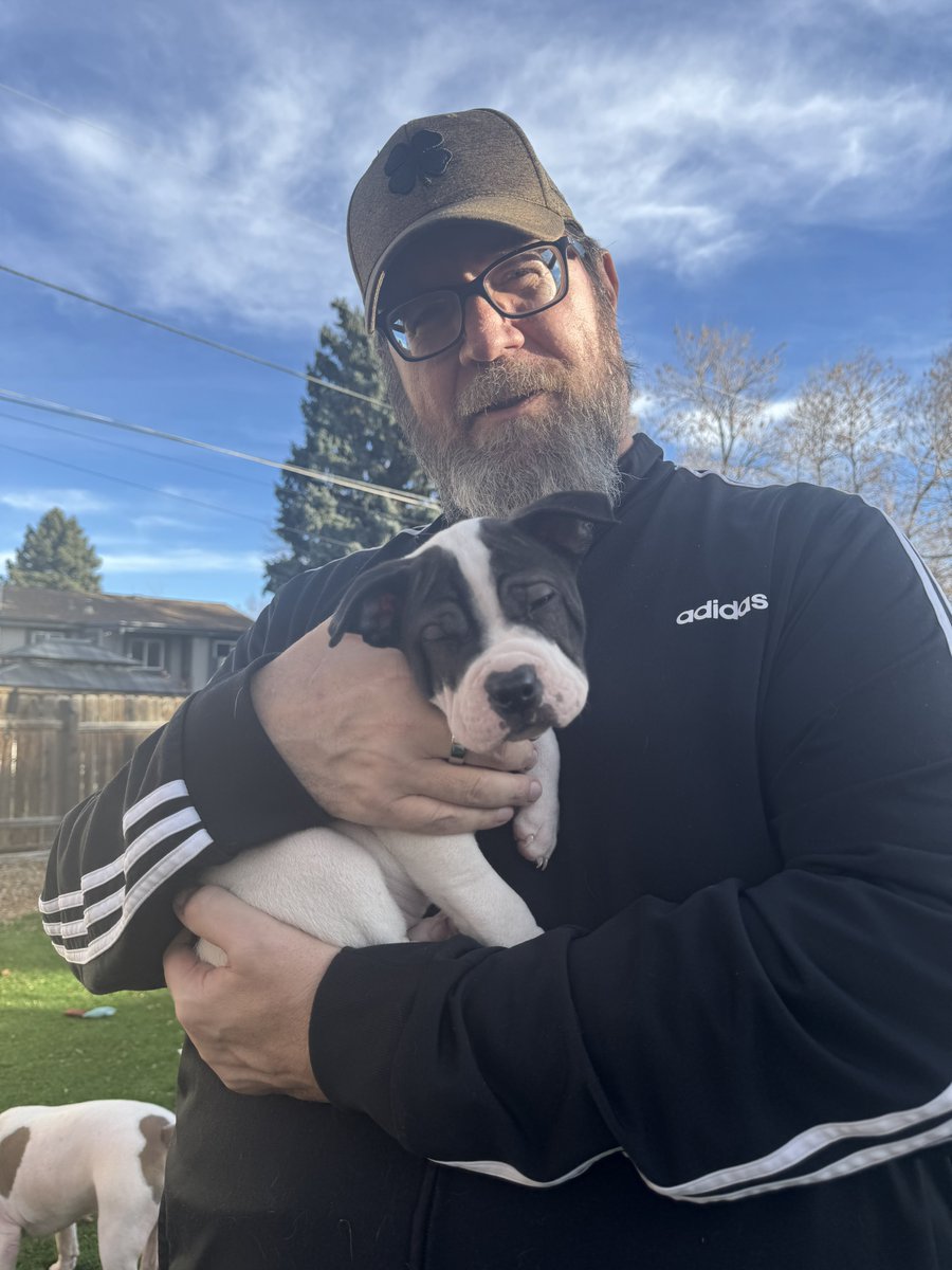 Dave Wilber tweet media