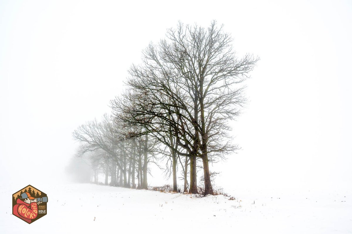 Very foggy in the Ottawa area today. Time for some very high contrast landscapes.
#photography #landscapephotography #fog
#nikoncreators #mirrorless #farm #Z6II #ThePhotoHour