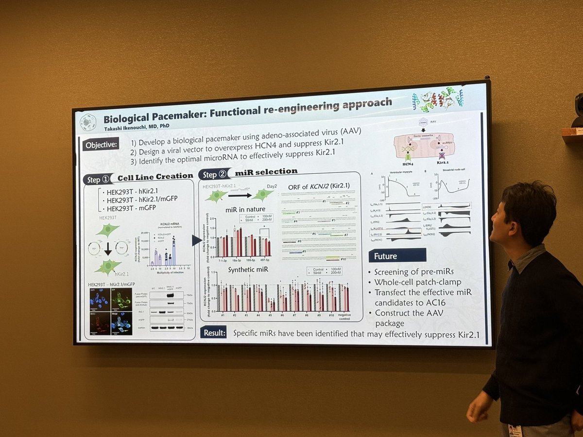 EugenioCingolan's tweet photo. Also great job by Takashi Ikenouchi presenting his updates on #Biological #Pacemaker strategies by #GeneTherapy #Biopace @nih_nhlbi @SmidtHeart @CedarsSinaiMed @CedarsSinai https://t.co/osXkeyGTth