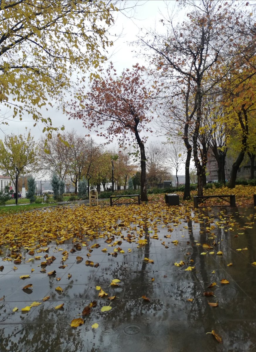 semacngzz's tweet photo. hasretin bir ince güz yarası https://t.co/ZYGQI4kgXA