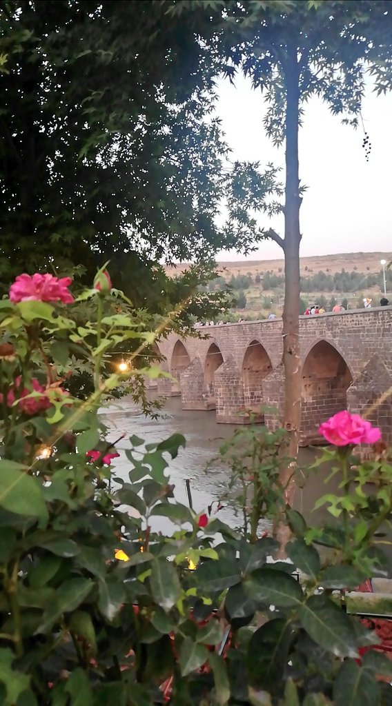 semacngzz's tweet photo. hasretin bir ince güz yarası https://t.co/ZYGQI4kgXA