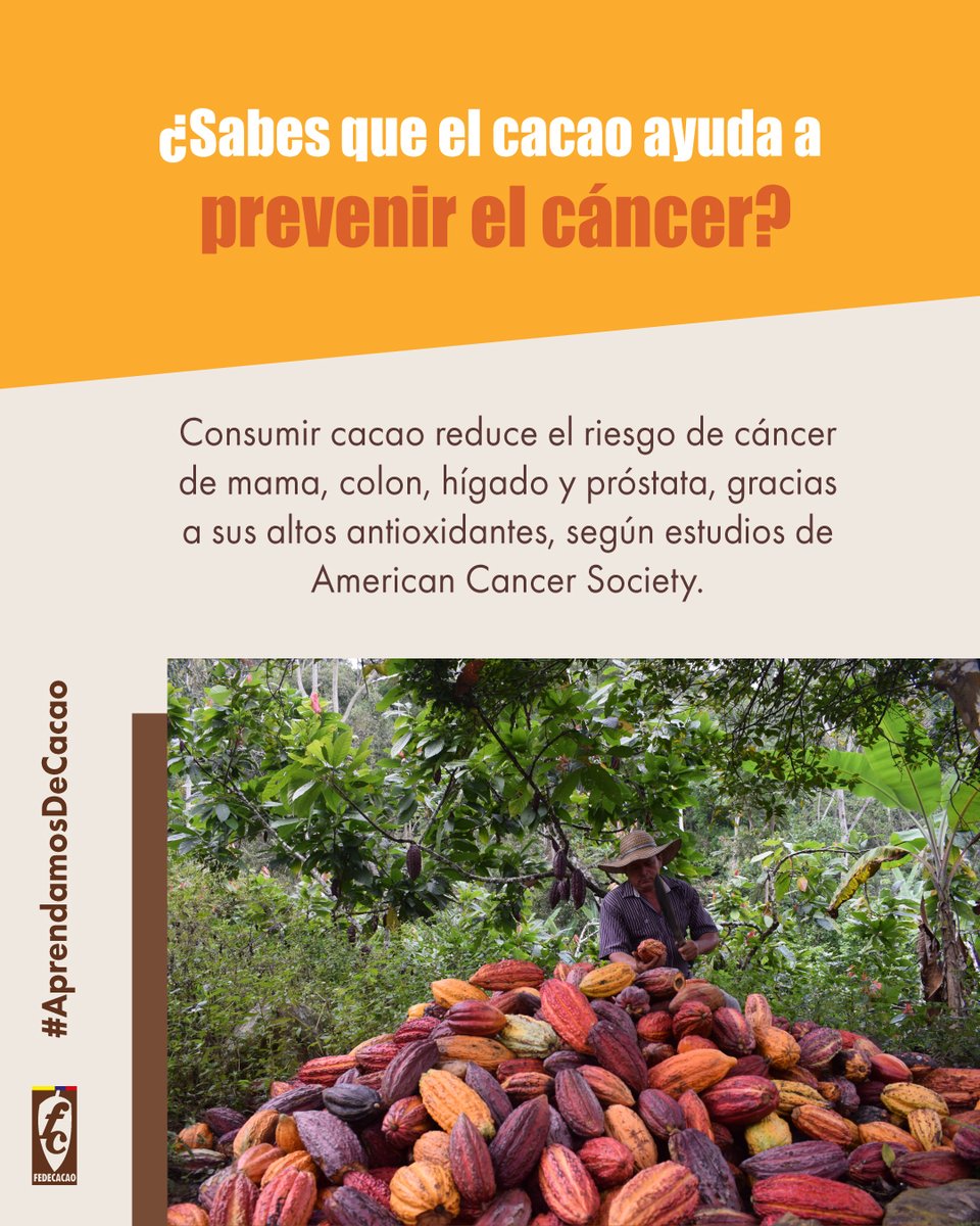 #AprendamosDeCacao El cacao es un aliado para tu salud. Cada pedacito de chocolate puro ayuda a proteger tu cuerpo gracias a sus antioxidantes naturales. 🍫💪 👉 Dale un respiro a tu salud con un pedacito de bienestar. ¿Nos tomamos una tacita de chocolate juntos?