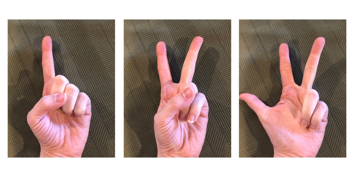 Selby_Stories's tweet photo. This is a long ramble about how math develops and why dragons not always having five fingers makes a shocking difference
#overthinking #math #dragons 

https://t.co/zaX0uUJtvT https://t.co/gLJh42yRur