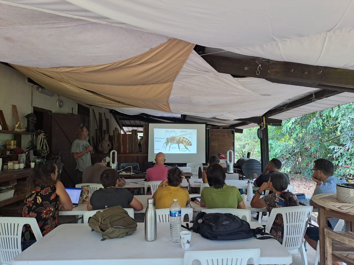 Maison pour la science en Guyane tweet media