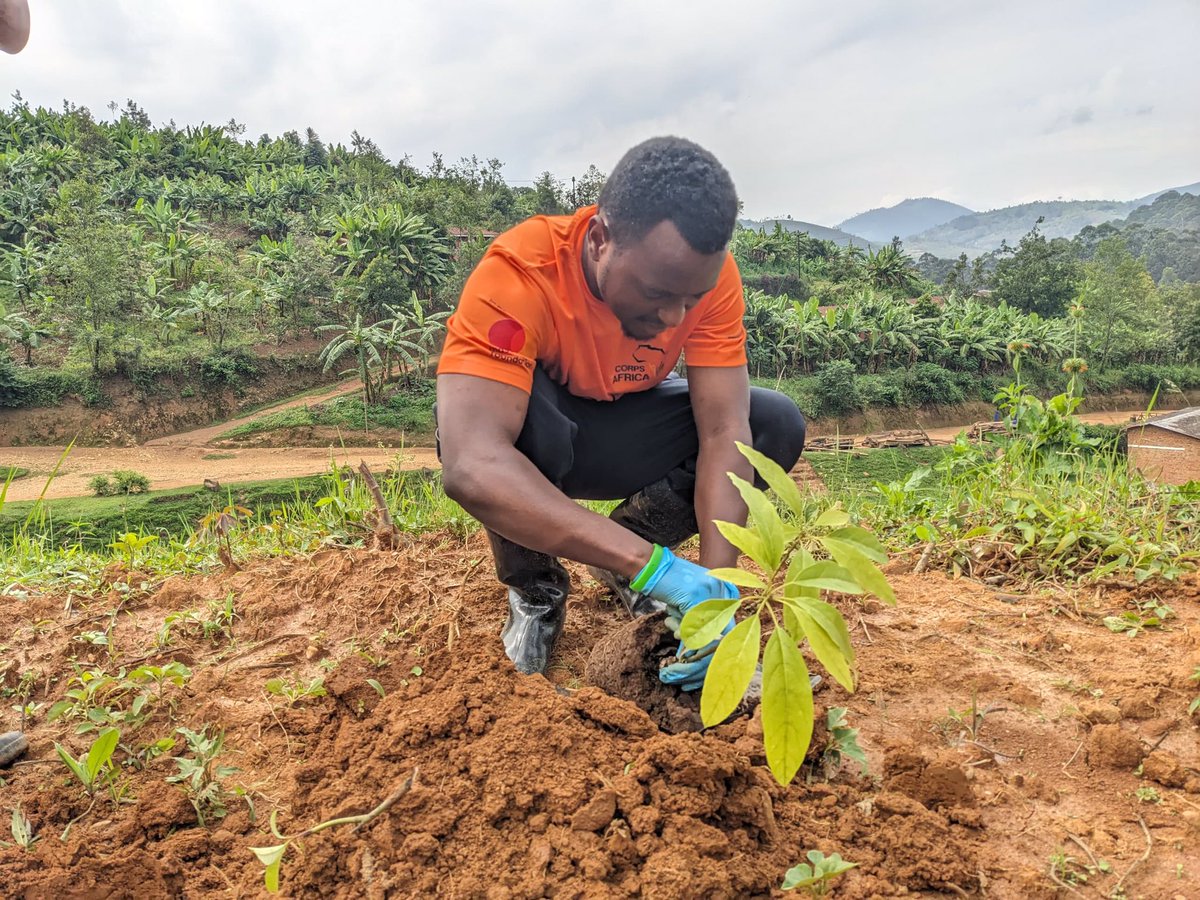 Ben_alpha1's tweet photo. The future is in our own hands, so every one should make an effort to protect the environment.
#CorpsAfricagreeninitiative 
#ThisIsCorpsAfrica
@CorpsAfricaRda 
@kucyaro 
@MSaintique123 https://t.co/5Rn9Ddn58o