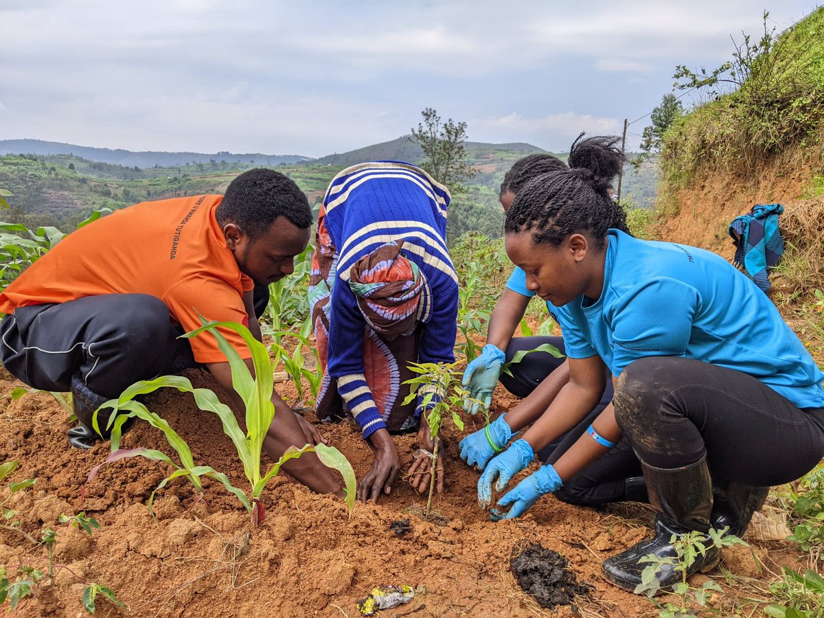 Ben_alpha1's tweet photo. The future is in our own hands, so every one should make an effort to protect the environment.
#CorpsAfricagreeninitiative 
#ThisIsCorpsAfrica
@CorpsAfricaRda 
@kucyaro 
@MSaintique123 https://t.co/5Rn9Ddn58o