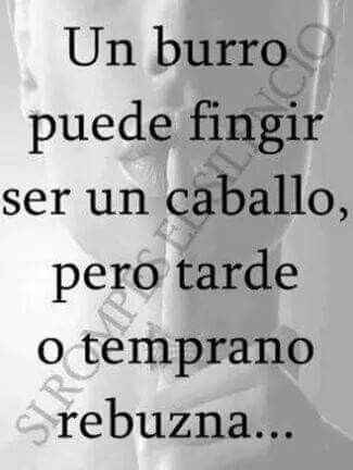 KarlosRojo's tweet photo. @larazon_es https://t.co/GogsYsA1qK
