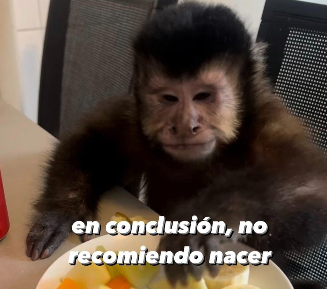 LadyCuervoo's tweet photo. Lo recomiendo https://t.co/AK0RUH55cL
