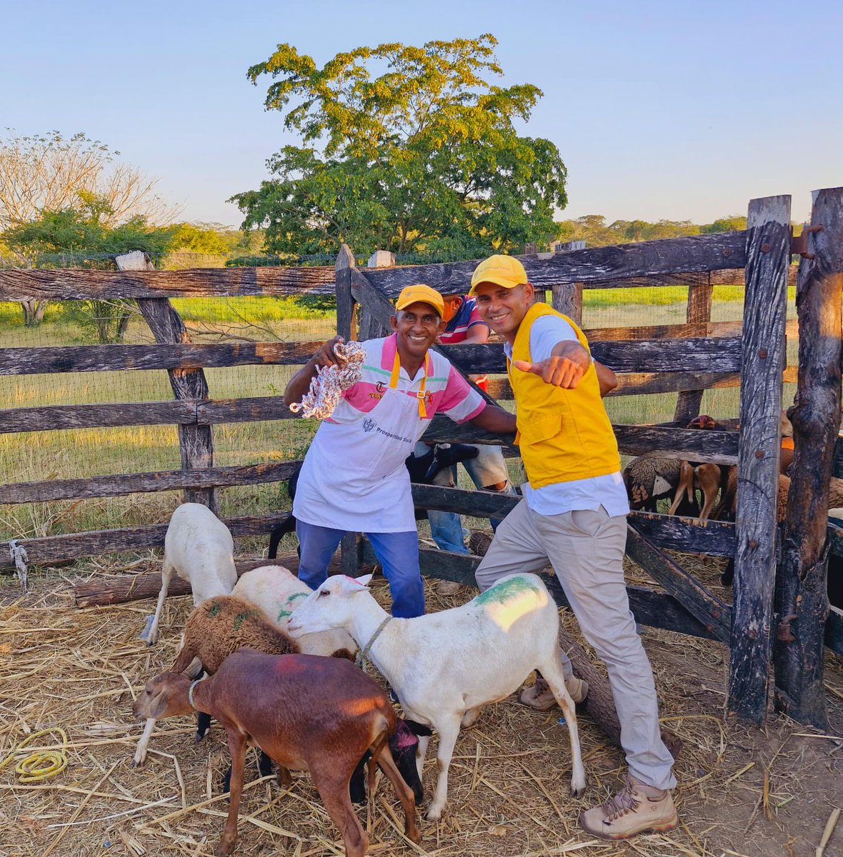 ProsperidadCol's tweet image. ¡Avanzamos en la lucha contra el hambre! A través de la Red de Seguridad Alimentaria #ReSA y la iniciativa Unidades Productivas para Autoconsumo (UPA), en alianza con @WFP_Colombia, beneficiamos a 13.800 hogares vulnerables en 6 departamentos y 17 municipios.
@AndreaFeoM