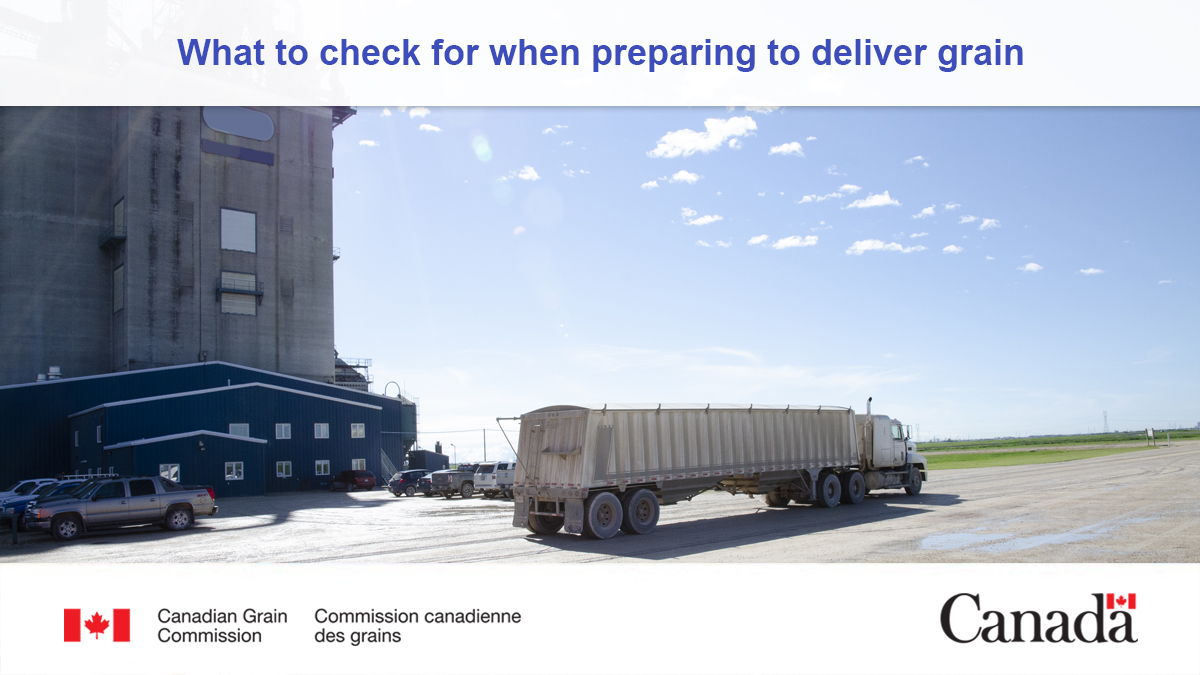 Ask these questions when delivering grain, #WestCdnAg: 
✔️ Is the grain company licensed by the CGC?
✔️ Are you being paid within our eligibility periods?
✔️ Do you agree with the assessment of your grain’s grade?
More on our producer protection services: ow.ly/H2VU50Upkar