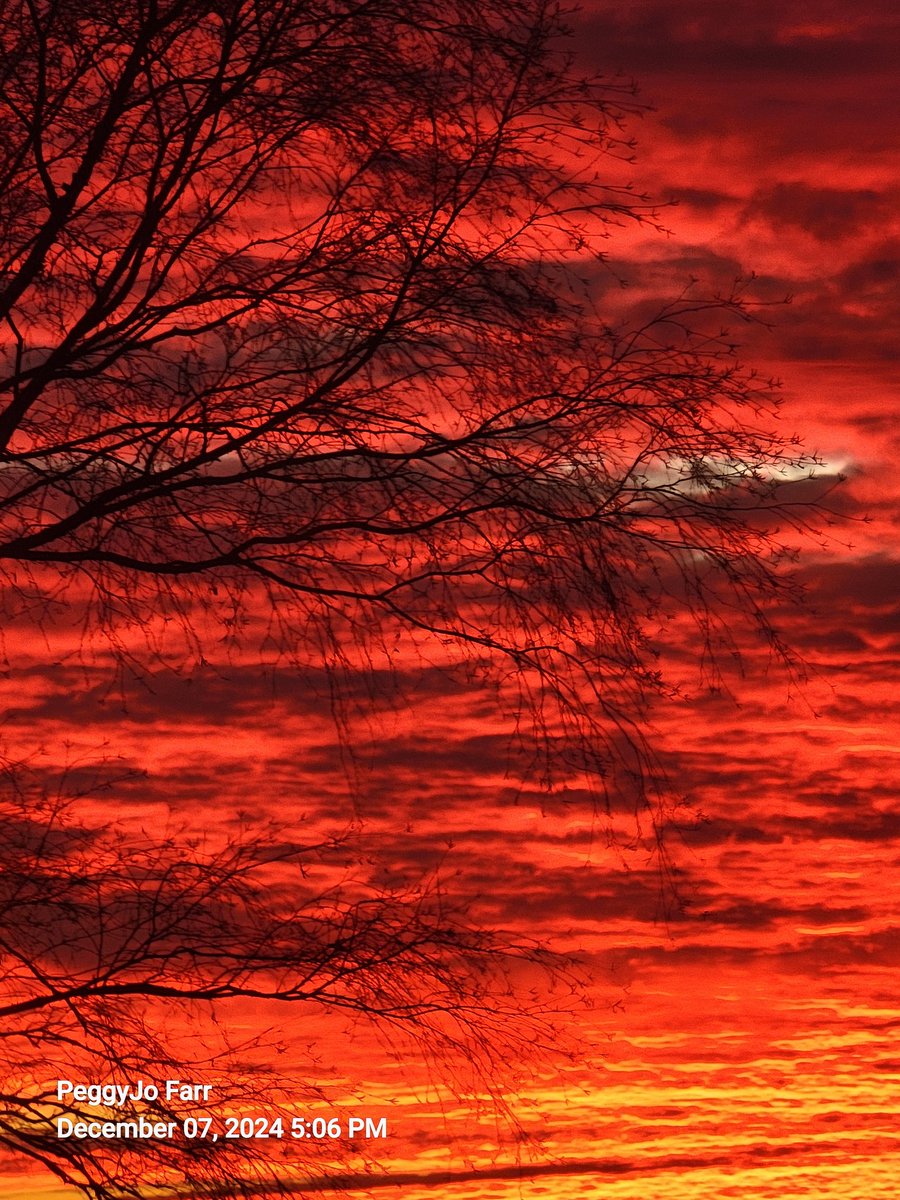 PeggyJoFarr2's tweet photo. @tomlin_bruce #sunsetred https://t.co/AVD8MbNWAS