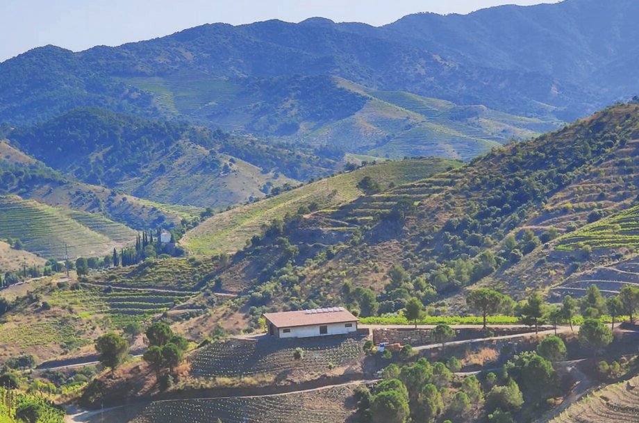 If your thoughts go instinctively to huge, chunky reds with heady extraction and alcohol, take another look and reassess the wines emerging on the new wave from Priorat, Catalonia’s premium DOQ region, as our in-situ expert explains... decanter.com/premium/priora…