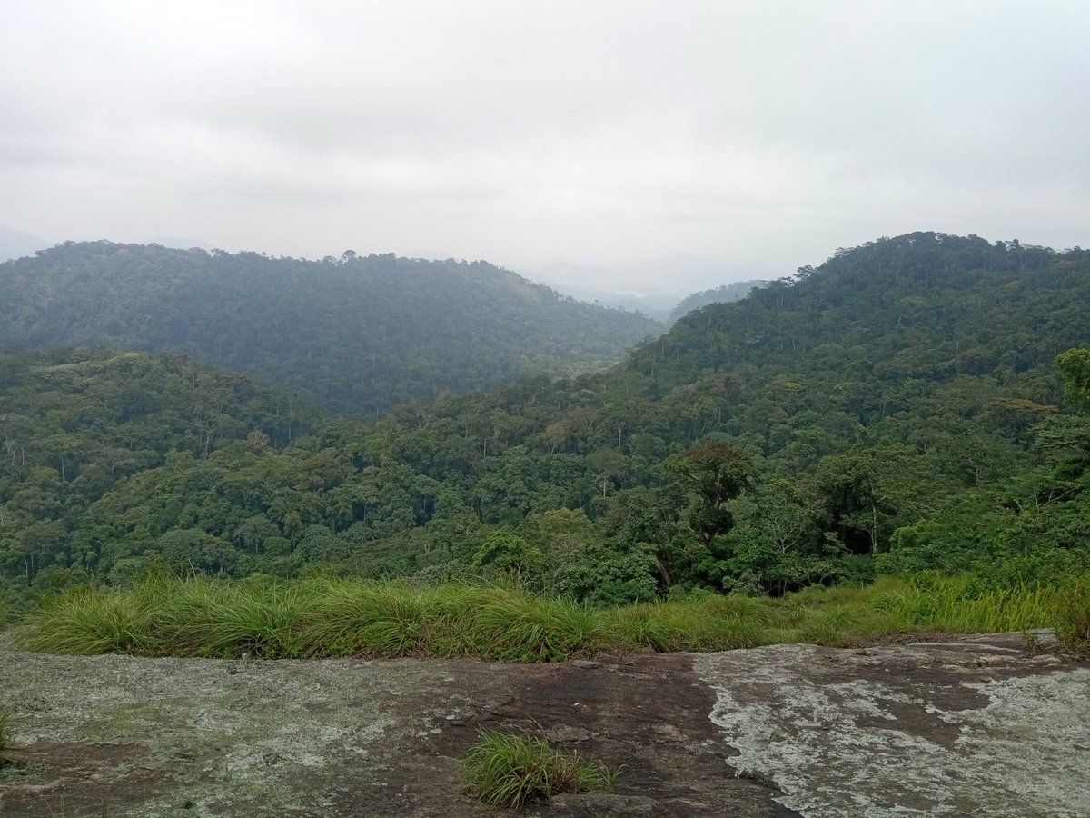 delphin_fegue's tweet photo. En cette journée internationale de la montagne et je viens partager avec vous ce beau souvenir sur le toit du plateau Sud-Cameroun: le Mont Mbam Minkom (1295m).

Sanctuaires d’espèces rares, ces lieux sacrées méritent qu’on leur voue une préservation à la hauteur de leur majesté. https://t.co/rVKhCza2mz