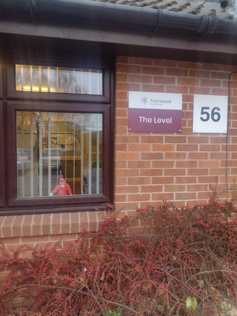 Dear Albert tweet media